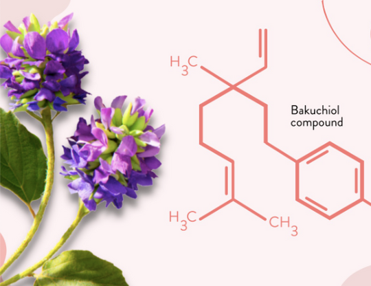 What exactly is Sytenol ® A Bakuchiol, and how does it compare to retinol?